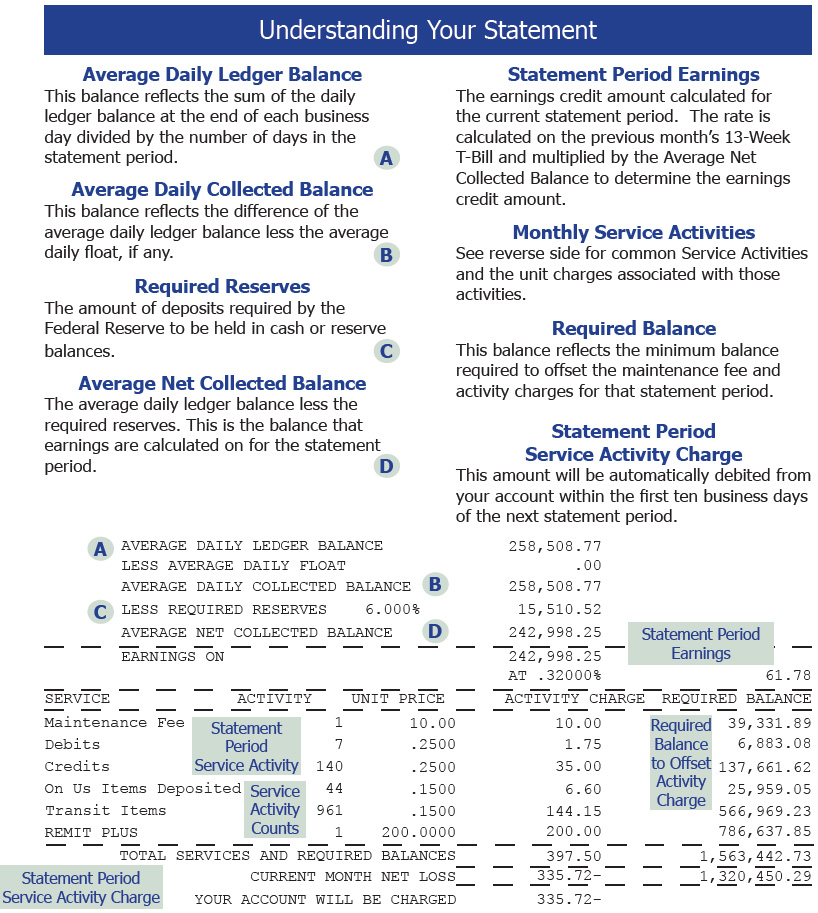 Account Statement Information
