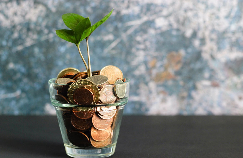 simple tips to save money blog photo of tiny plant growing out of money